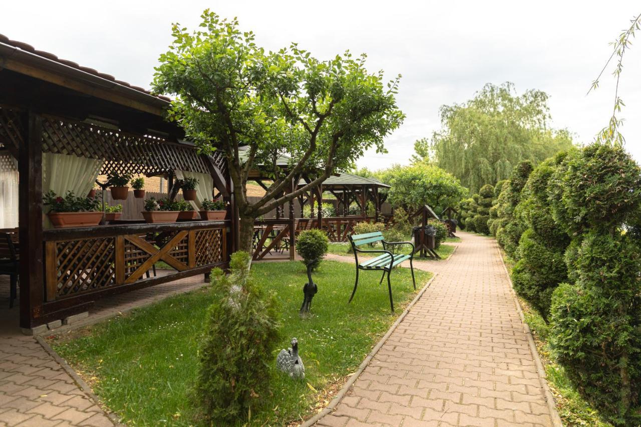 Complex Turistic Darina Sancraiu De Mures エクステリア 写真