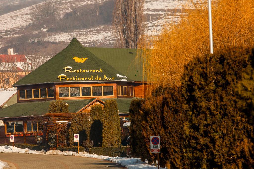 Complex Turistic Darina Sancraiu De Mures エクステリア 写真