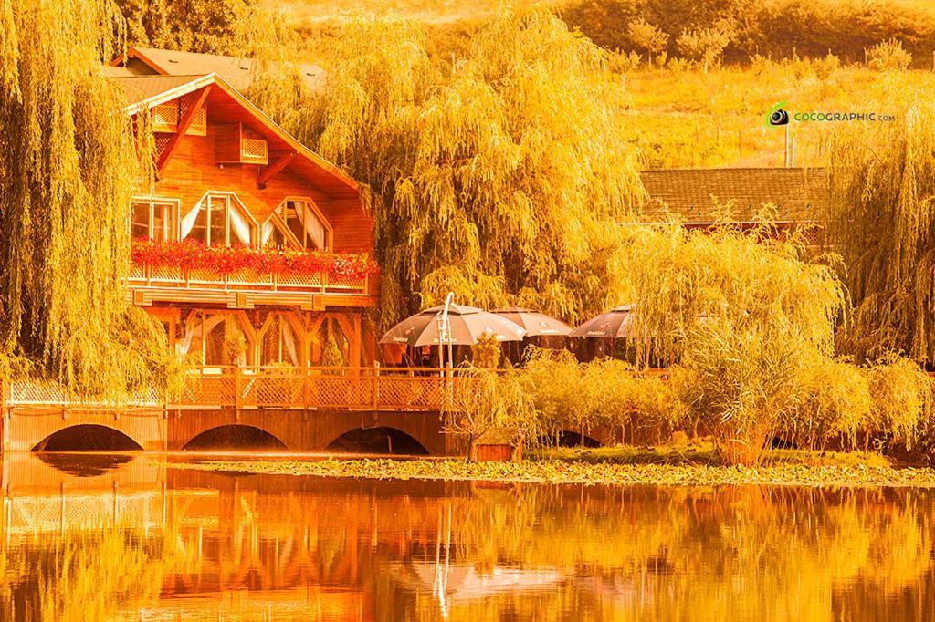 Complex Turistic Darina Sancraiu De Mures エクステリア 写真